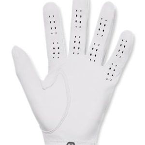 UA Drive Tour Men's Glove